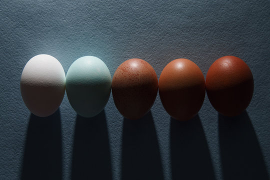 Different colored eggs palette