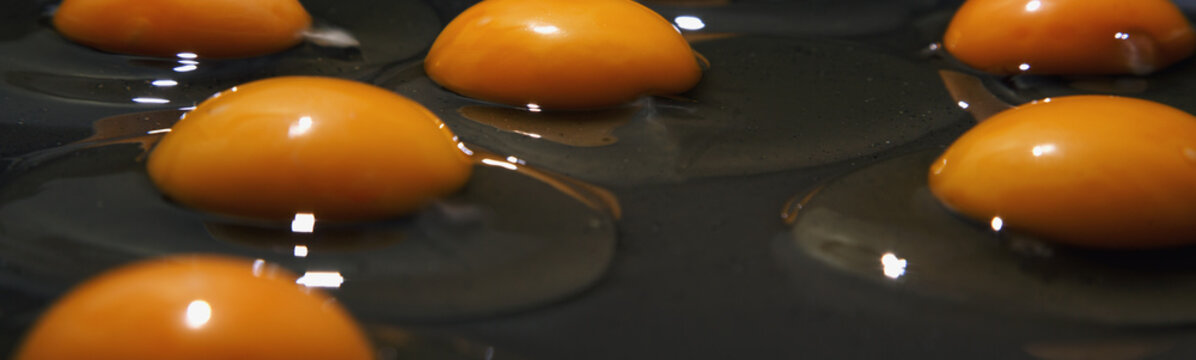 Cracked raw chicken eggs