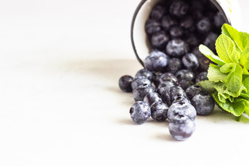 Fresh blueberries and mint leaves on light grey stone background. Organic food for healthy lifestyle. 