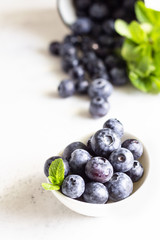 Freshly picked blueberries in a white ceramic bowl. Selective focus, copy space for text. 
