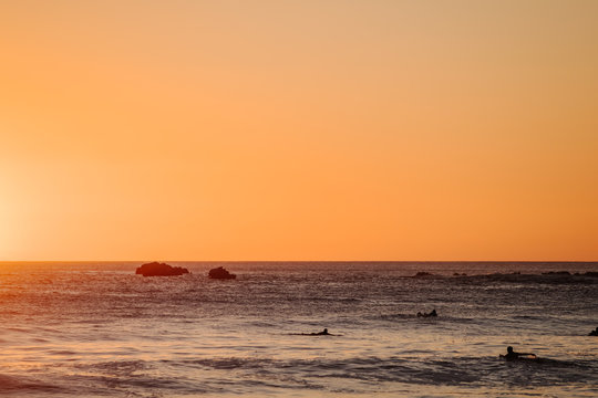 Pura Vida