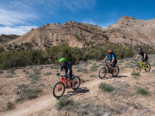 Son, mother and grandfather riding mountain bikes of singletrack in Colorado