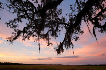 Myakka River Sunset