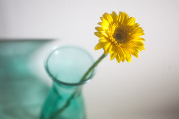 Yellow flower in blue glass vase