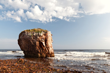 Lonely red rock on the north sea with seagulls sitting on it