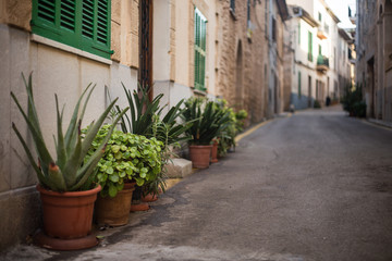 Fototapeta na wymiar a small cosy street on Mallorca, Spain; green plants in pots standing outside along walls