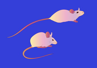 Cute mouse cartoon illustration. Vector animal set