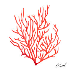 Ocean red coral. Tropical reef sealife. Watercolor illustration.