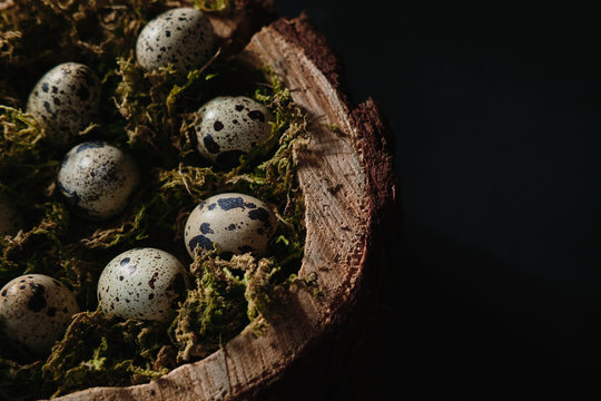 Quail eggs in wooden bowl