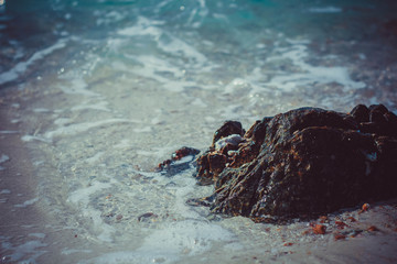 The Sea Stone and Shell on the beach