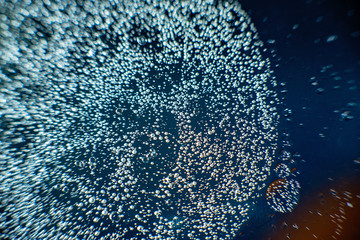 oil with bubbles on a colorful background. Abstract background. Soft selective focus