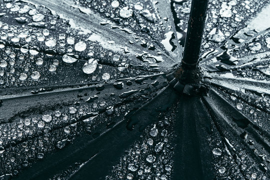 Black Umbrella Under Heavy Rain