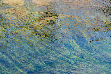 Background with clear green flow water of Sorgue river in Provence, France