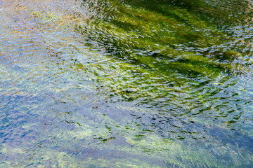 Background with clear green flow water of Sorgue river in Provence, France