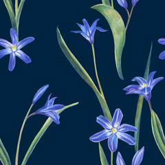 Blue spring flowers. Hand drawing color pencil.Template for greeting card. Wedding card