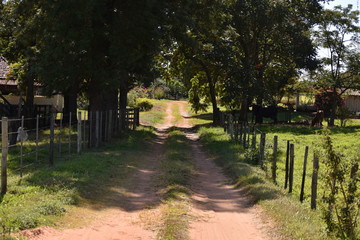 Countryside Road