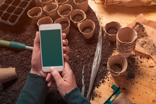 Smartphone mock up in hands of organic gardener