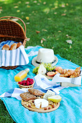 Summer picnic on the blue plaid  in the park