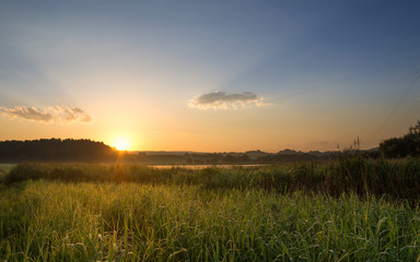 sunset over green field