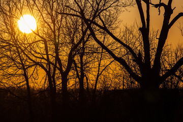 Sunset in the meadow