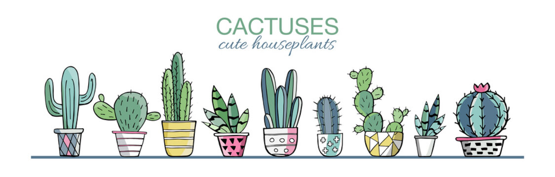 Vector set of colorful cactus plants in colored pots with outlines. Exotic and Tropical Plants - Cacti for design isolated on white background. Hand drawn cactus for design. Vector EPS10