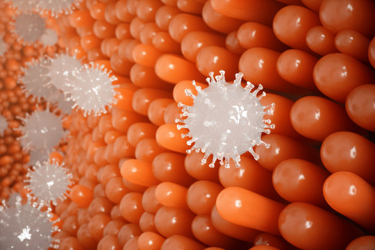 Intestinal villi, mucosa intestinal. Bacteria and microbes in intestines. Microscopic villi and capillary. Human intestine, chronic disease. Hepatitis viruses, influenza, cell infections, 3D Rendering