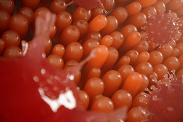 Intestinal villi, mucosa intestinal. Bacteria and microbes in intestines. Microscopic villi and capillary. Human intestine, chronic disease. Hepatitis viruses, influenza, cell infections, 3D Rendering