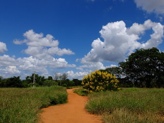 Chapada Diamantina - Bahia