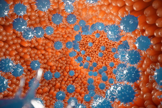 Intestinal villi, mucosa intestinal. Bacteria and microbes in intestines. Microscopic villi and capillary. Human intestine, chronic disease. Hepatitis viruses, influenza, cell infections, 3D Rendering