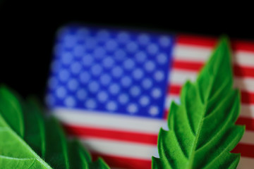 Medical Cannabis Leaf USA - green fresh marijuana leaf and American USA flag on the black mirroring background.