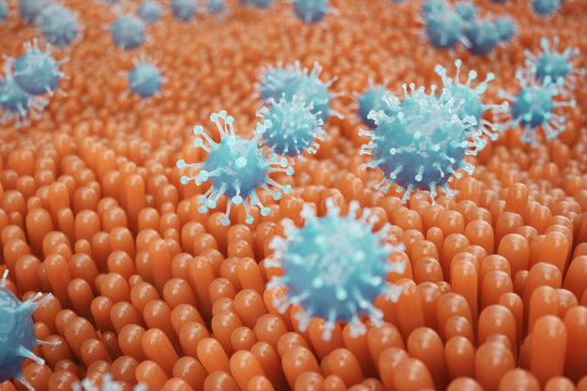 Intestinal villi, mucosa intestinal. Bacteria and microbes in intestines. Microscopic villi and capillary. Human intestine, chronic disease. Hepatitis viruses, influenza, cell infections, 3D Rendering