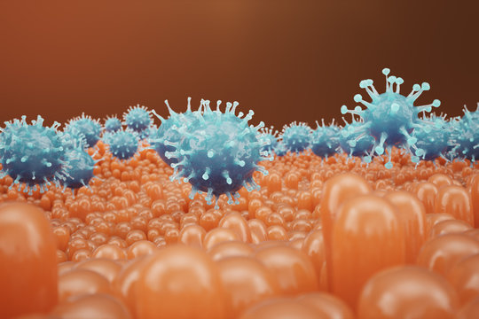 Intestinal villi, mucosa intestinal. Bacteria and microbes in intestines. Microscopic villi and capillary. Human intestine, chronic disease. Hepatitis viruses, influenza, cell infections, 3D Rendering