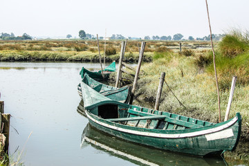 Weathered and abandoned boats docked to the shore of the Aveiro Lagoon on a bright day.