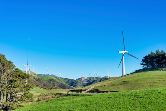 Makara Wind Farm near Wellington