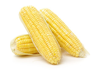 Corn on white background 
