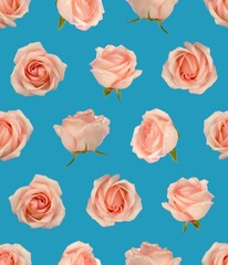 Rose Seamless Pattern Wallpaper Background