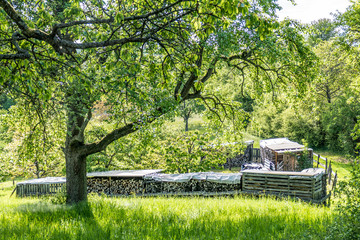 Brennholz Haufen auf Wiese © focus finder