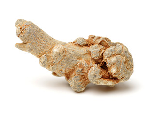 Notoginseng, Chinese traditional medicine on white background