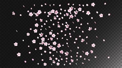 Nice Sakura Blossom Isolated Vector. Summer Falling 3d Petals Wedding Paper. Japanese Blurred Flowers Illustration. Valentine, Mother's Day Magic Nice Sakura Blossom Isolated on Black