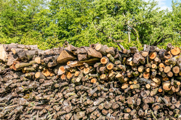 Brennholz gestapelt © focus finder