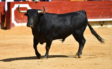 toro español
