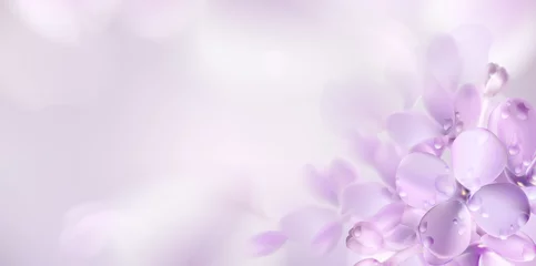 Fotobehang Floral lente achtergrond met paarse lila bloemen © Premium_art