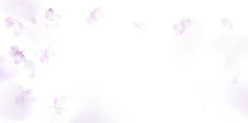 Obraz na płótnie Canvas Floral spring background with purple lilac flowers