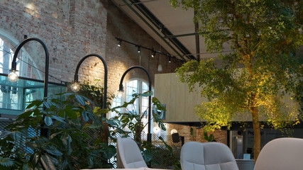 Nature inside the house