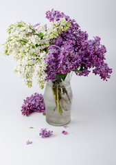 Bouquet of beautiful fresh lilac flowers. White and purple lilac flowers in vase.