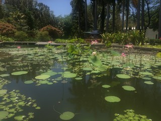 naturaleza