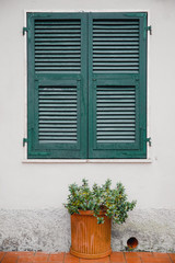 Fototapeta na wymiar Green window shutters wooden dark vintage, blocking sunlight