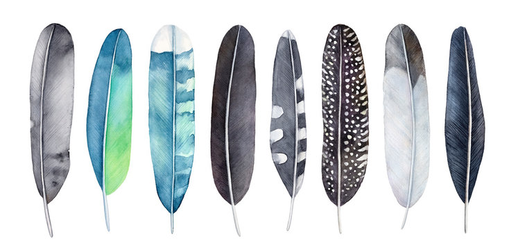 Watercolor feathers set. Mix of various type, pattern and colors (black, grey, blue, turquoise, green, yellow). Handdrawn watercolour gradient drawing, cut out clipart elements for design decoration.