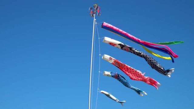 気持ちよさそうに青空を泳ぐ鯉のぼり