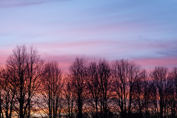 Fototapeta na wymiar sunset gradient on the sky